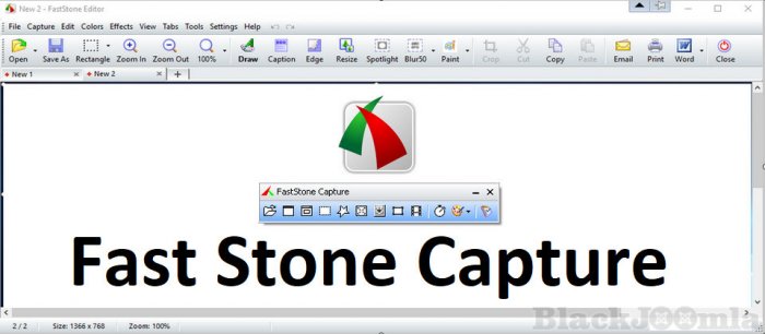 FastStone Capture 11.0