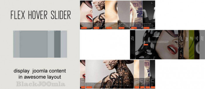 OL Flex Hover Slider 4.0.9