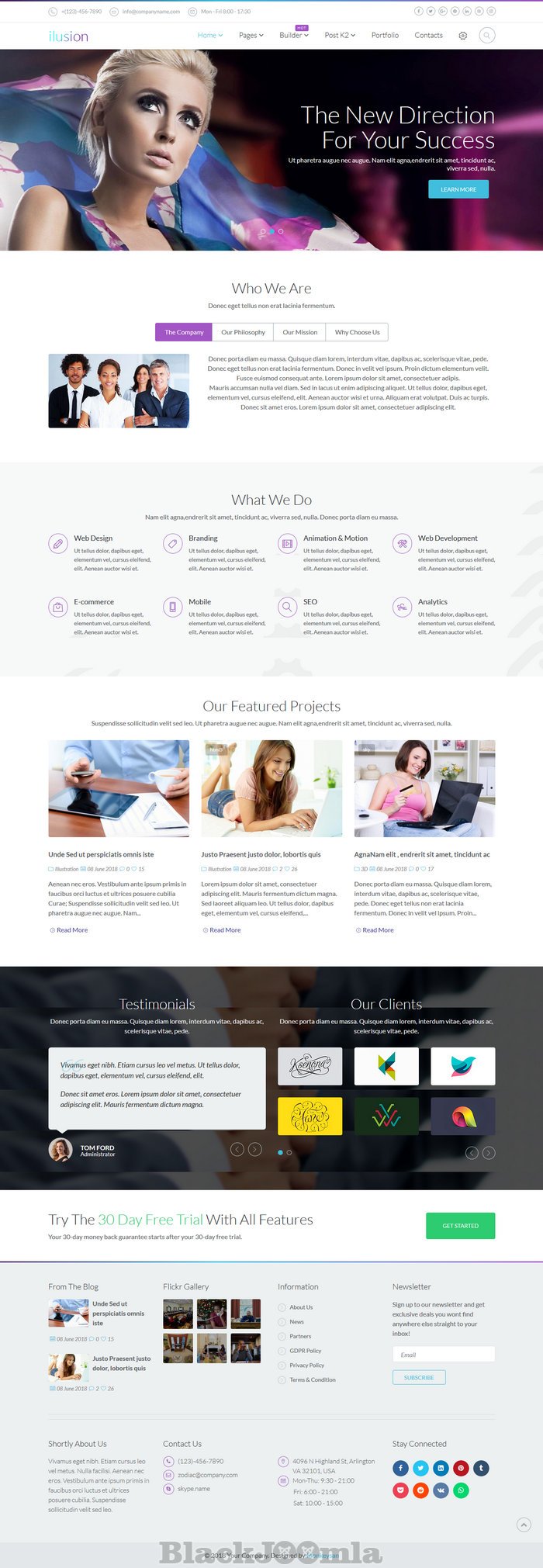 themeforest ilusion 1.0