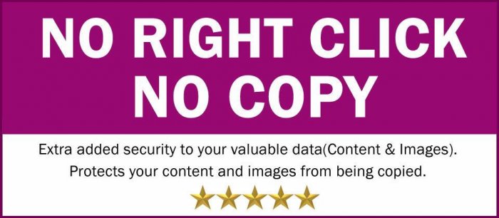 No Right Click No Copy 2.0.0
