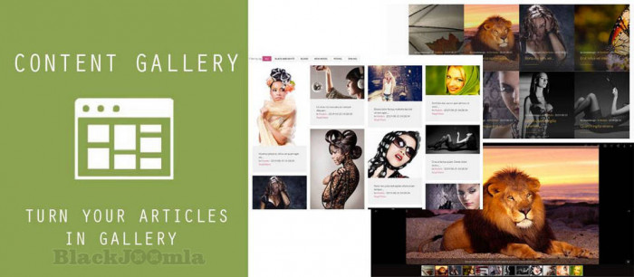 OL Content Gallery 4.0.13