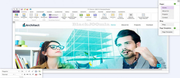 TemplateToaster Pro 7.0.0.15856 + Portable