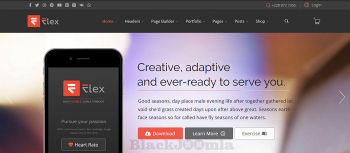 ThemeForest FLEX 4.3