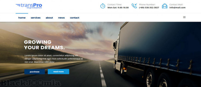 ThemeForest TransPro 1.2