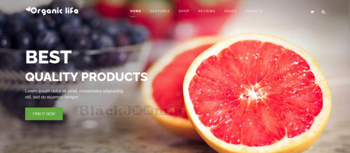 JoomShaper Organic Life 2.1