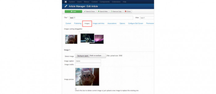 Article Images Upload and Gallery 1.2.7